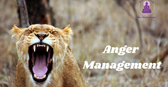 Ma Ambika Varahi Healing and Wellness Centre